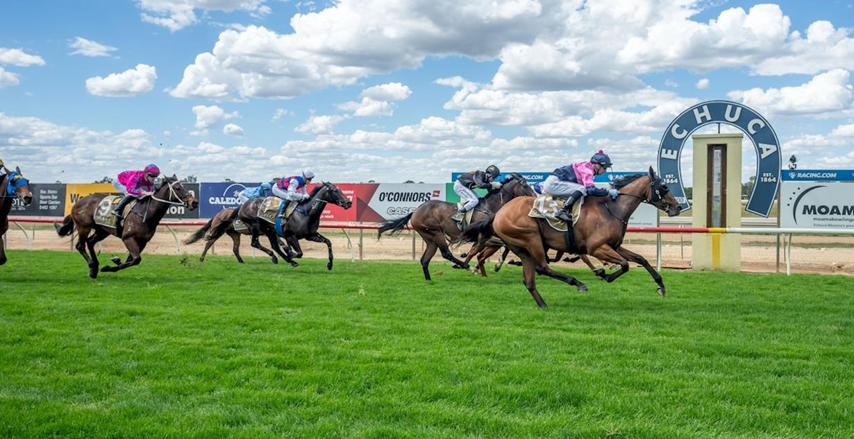 Sayalero - Echuca 19th October 2026